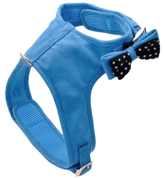 Coastal Pet Accent Microfiber Dog Harness Boho Blue with Polka Dot Bow Media 1 of 3