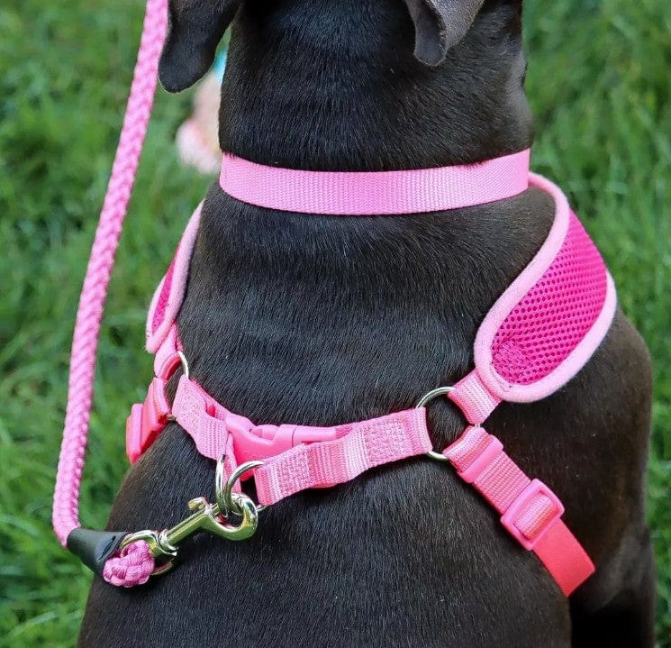 Coastal Pet Comfort Soft Wrap Adjustable Dog Harness Lime Media 3 of 3