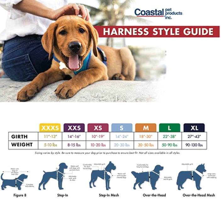 Coastal Pet Styles Nylon Adjustable Dog Collar Black Bones 1" W x 18-26" Long Media 2 of 2