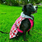 Alpine All-Weather Dog Coat - Raspberry Plaid X-Small to 5X-Large