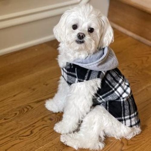 Weekender Dog Sweatshirt Hoodie - Black and White Plaid Flannel XS - XL