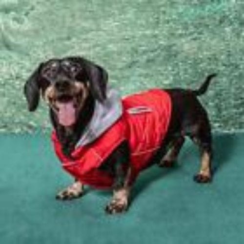 Weekender Dog Sweatshirt Hoodie - Red XS - XL