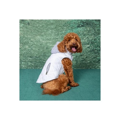Weekender Dog Sweatshirt Hoodie - White XS - XL