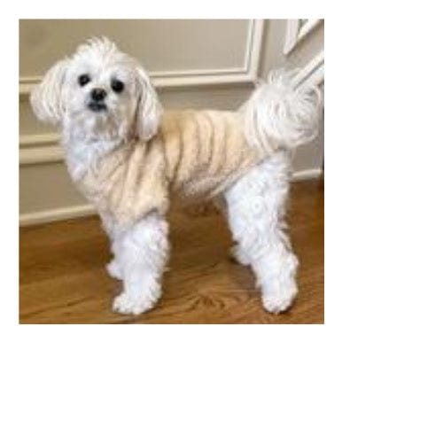 Soft Plush Dog Pullover - Cream XS - 4XL