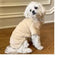 Soft Plush Dog Pullover - Cream XS - 4XL