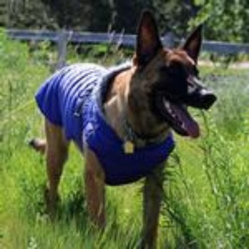 Alpine Extreme Cold Puffer Dog Coat - Blue X-Small to 5X-Large