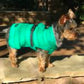 Alpine Extreme Cold Puffer Dog Coat - Arcadia X-Small to 5X-Large