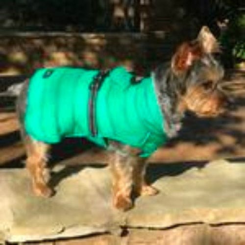 Alpine Extreme Cold Puffer Dog Coat - Arcadia X-Small to 5X-Large