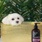 Dogphora First Dog of Fashion Shampoo Media 3 of 6