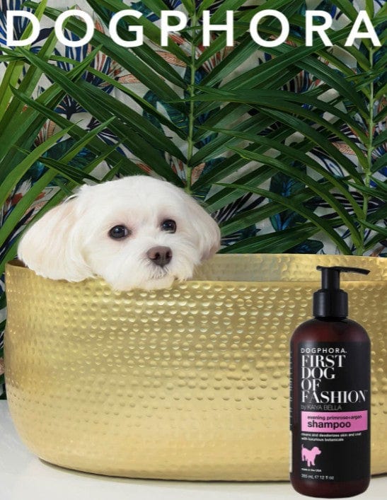 Dogphora First Dog of Fashion Shampoo Media 3 of 6