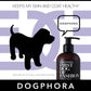 Dogphora First Dog of Fashion Shampoo Media 6 of 6