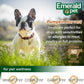 Emerald Pet Pumpkin Harvest Mini Trainers with Banana Chewy Dog Treats Media 4 of 4