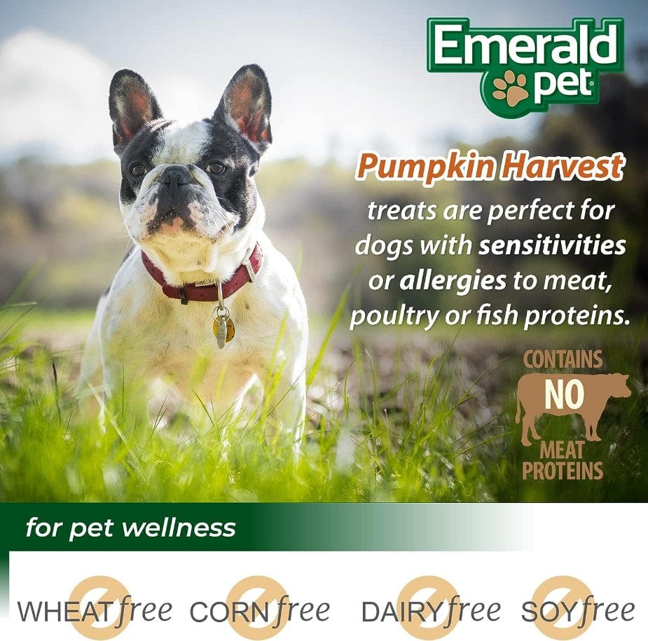 Emerald Pet Pumpkin Harvest Mini Trainers with Mixed Berries Chewy Dog Treats Media 4 of 4