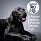 Four Paws Magic Coat Professional Dual-Sided Dog Deshedder Media 7 of 7