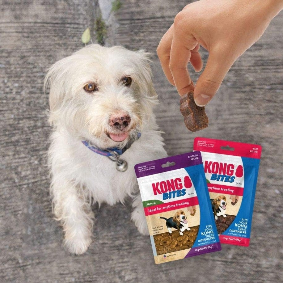 KONG Bites Beef Flavor Treats for Dogs Media 3 of 3