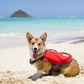 Outward Hound Dawson Swimmer Life Jacket for Dogs Media 3 of 4