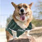 Pets First Michigan State Mesh Jersey for Dogs Media 3 of 5