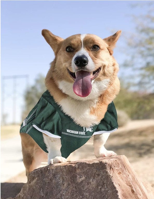 Pets First Michigan State Mesh Jersey for Dogs Media 3 of 5