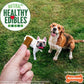 Nylabone Natural Healthy Edibles Bacon Chewy Bites Dog Treats Media 5 of 5