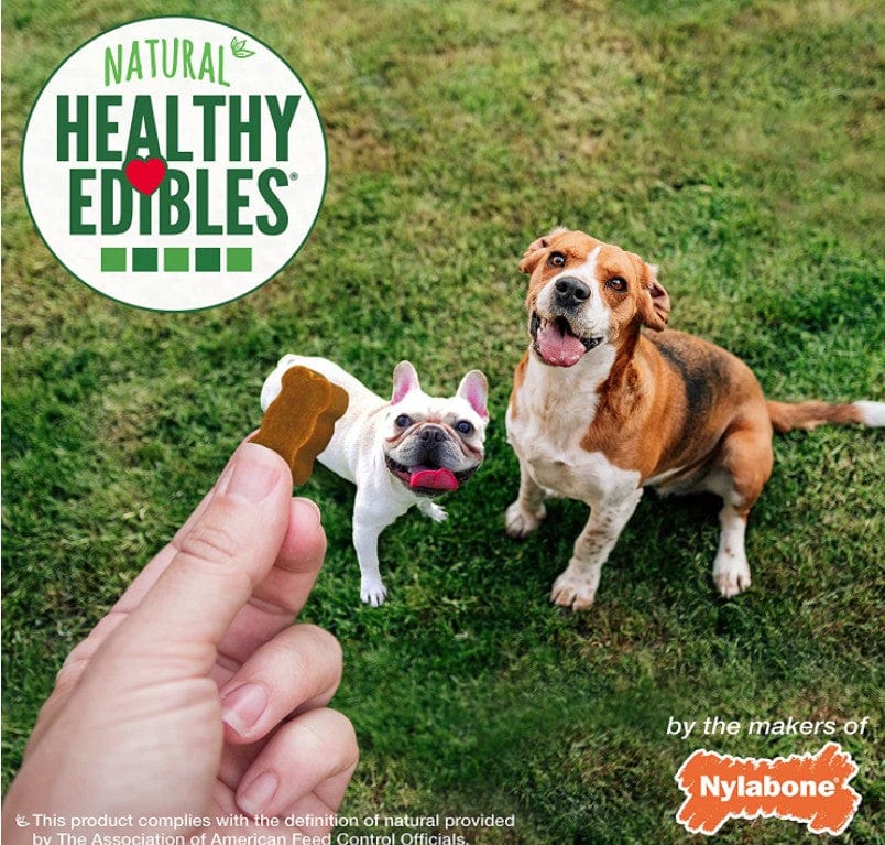 Nylabone Natural Healthy Edibles Bacon Chewy Bites Dog Treats Media 5 of 5