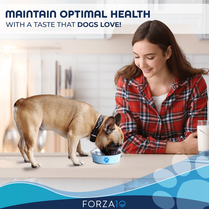 Forza10 Active Depura Diet Lamb Dry Dog Food