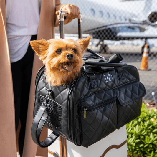 The Lux Pet Carrier For Dogs