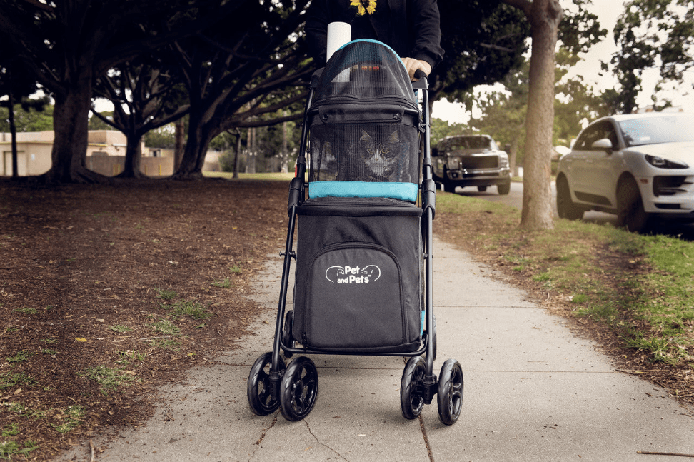 Double Decker Pet Stroller For Dogs Cats Or Other Animals