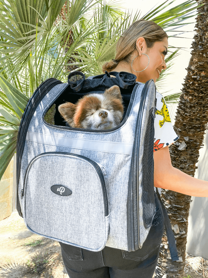 The Backpacker Dog Cat Pet Carrier