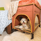 Bedside Lounge Pet Dog Bed