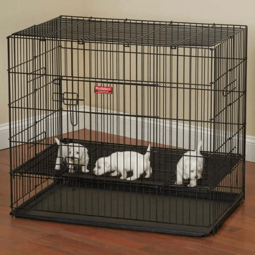 ProSelect Powder Coated Steel Puppy Dog Playpens with Plastic Pan, Small/Medium, Black