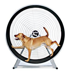Gopet Treadwheel For Large Dogs Up To 150 Pounds