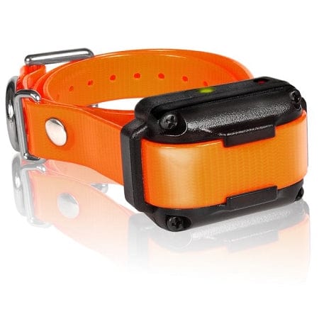 Dogtra IQ Plus Additional Receiver with Orange Collar Strap - IQ-PLUS-RX