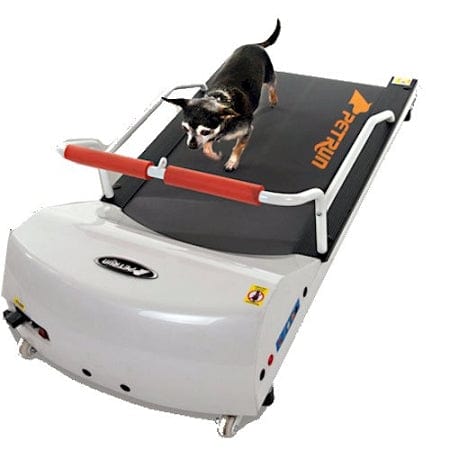 PetRun PR700 Dog Treadmill by GoPet
