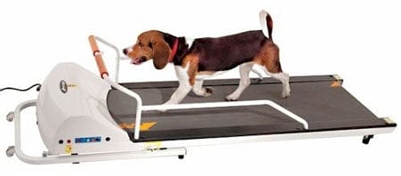 PetRun PR720F Dog Treadmill by GoPet