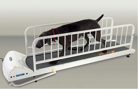 PetRun PR725 Dog Treadmill by GoPet